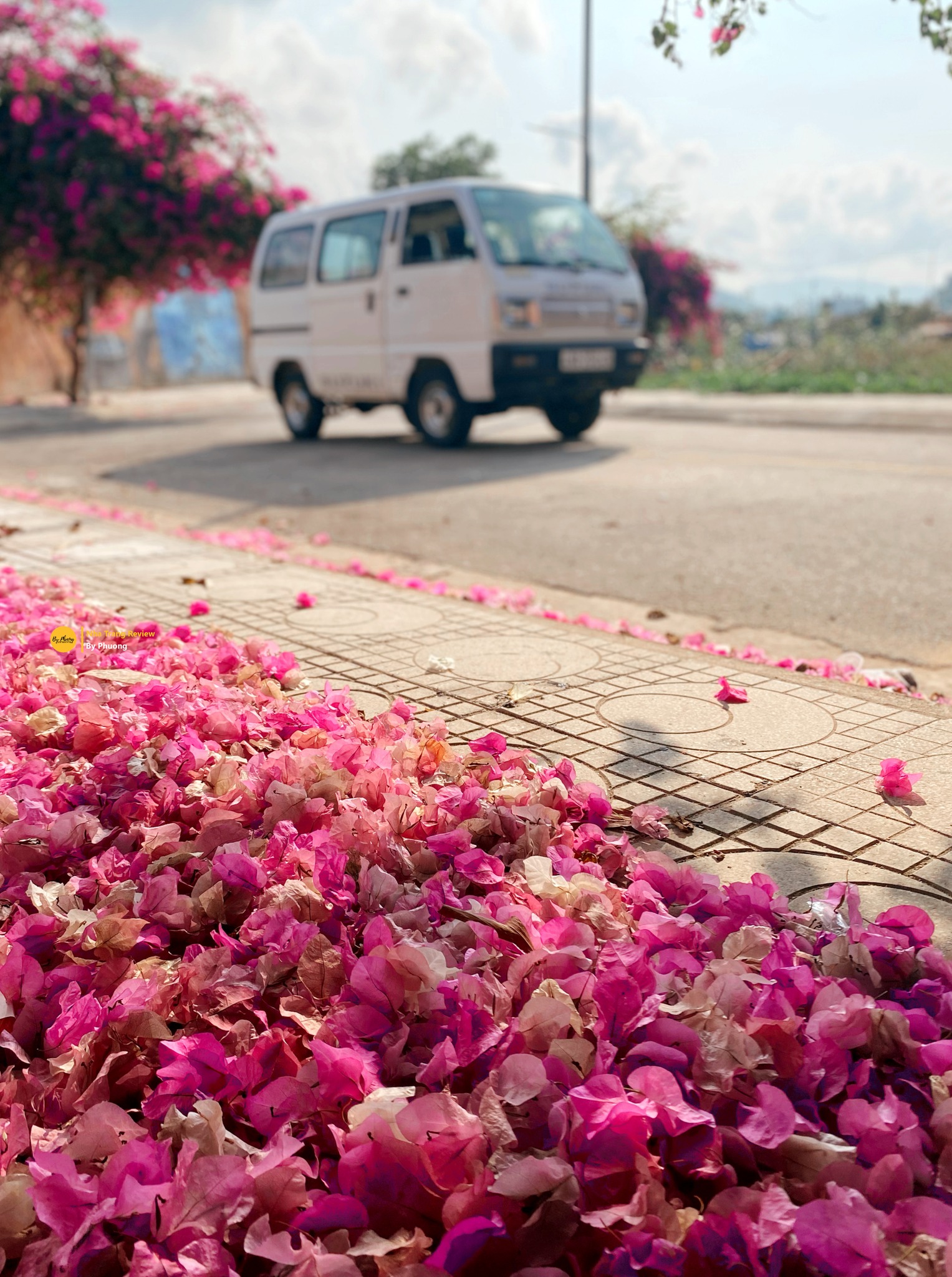 Con đường hoa giấy Nha Trang