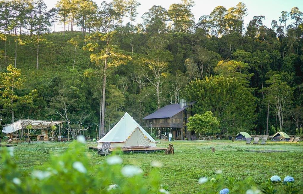 Camping tại Đà Lạt - Dalat Camp