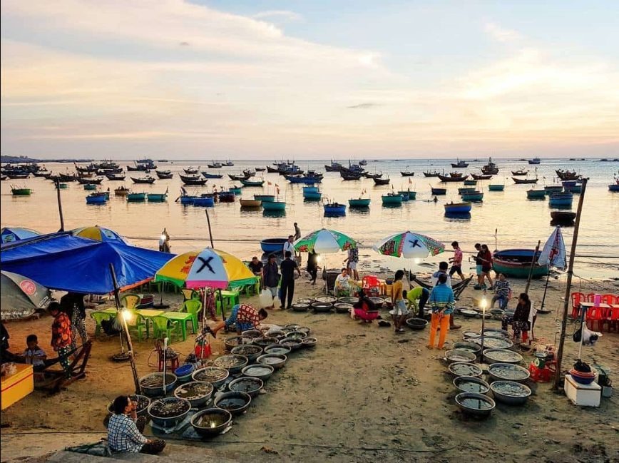 Khám phá cuộc sống thường nhật của ngư dân địa phương, chiêm ngưỡng cảnh tàu thuyền tấp nập và thưởng thức hải sản tươi sống ngay tại chỗ.