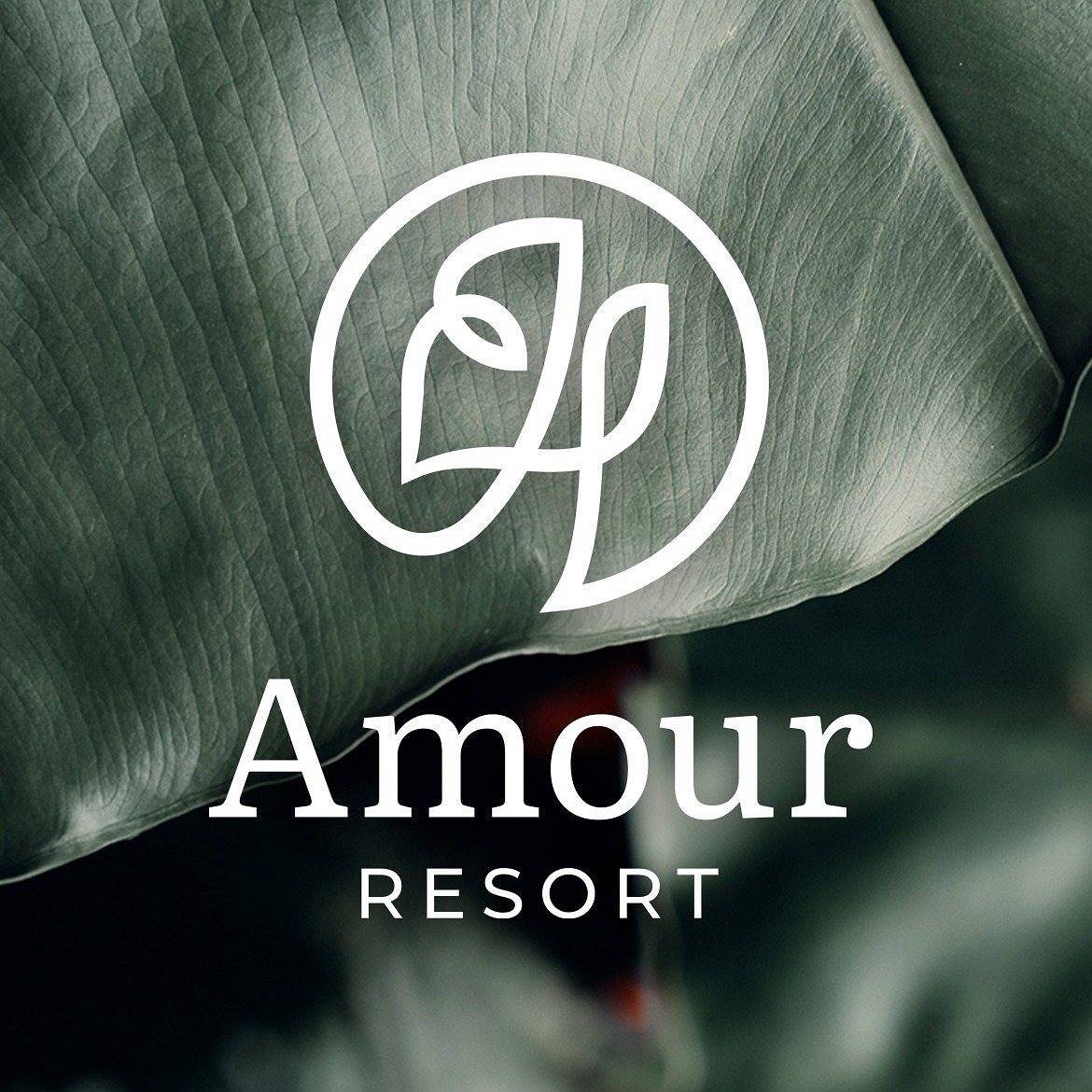 logo amour resort