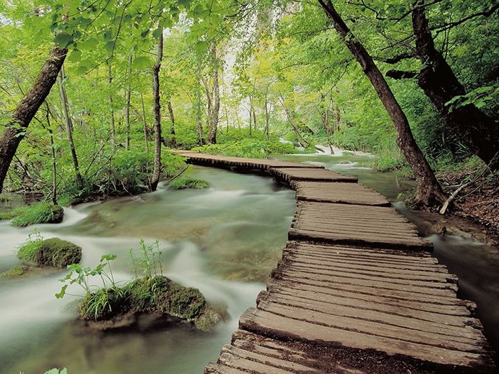 Hành trình trekking ở Ba Vì với cảnh thiên nhiên hoang sơ và hùng vĩ, cung đường trekking qua rừng trúc.