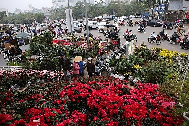 Truy Tìm Vẻ Đẹp Tết Việt: 10 Chợ Hoa Tết Hà Nội Khiến Bạn Say Đắm!