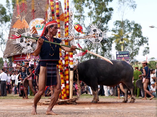 Festival Hoa Đà Lạt 2024: Hành Trình Khám Phá Lễ Hội Hoa Lớn Nhất Năm