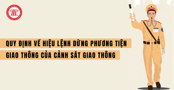 Cẩm nang di chuyển Tết: Từ A đến Z những điều bạn cần biết