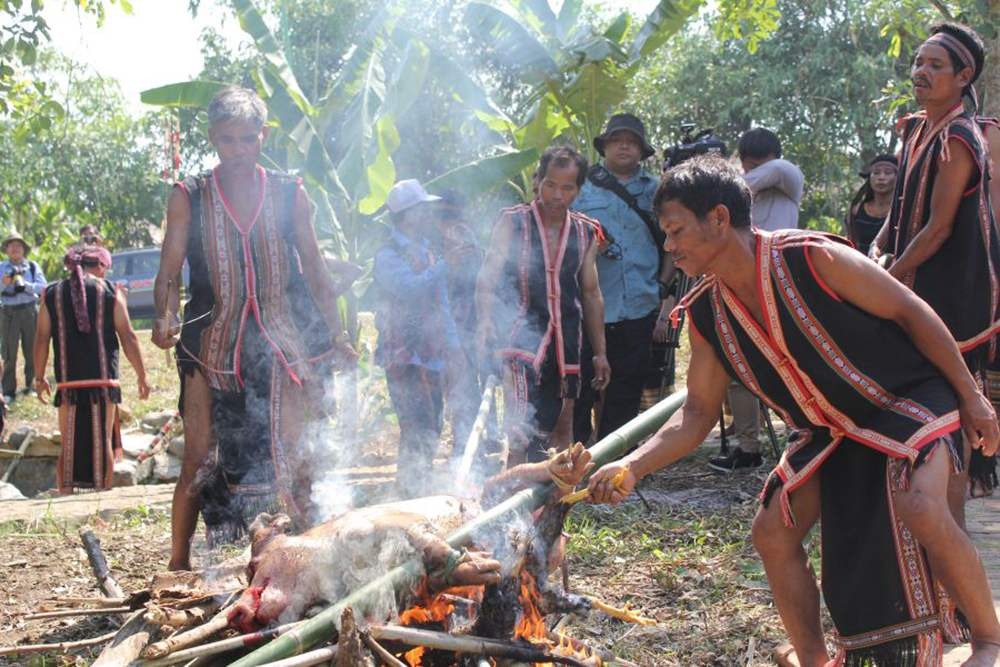 Festival Hoa Đà Lạt 2024: Hành Trình Khám Phá Lễ Hội Hoa Lớn Nhất Năm