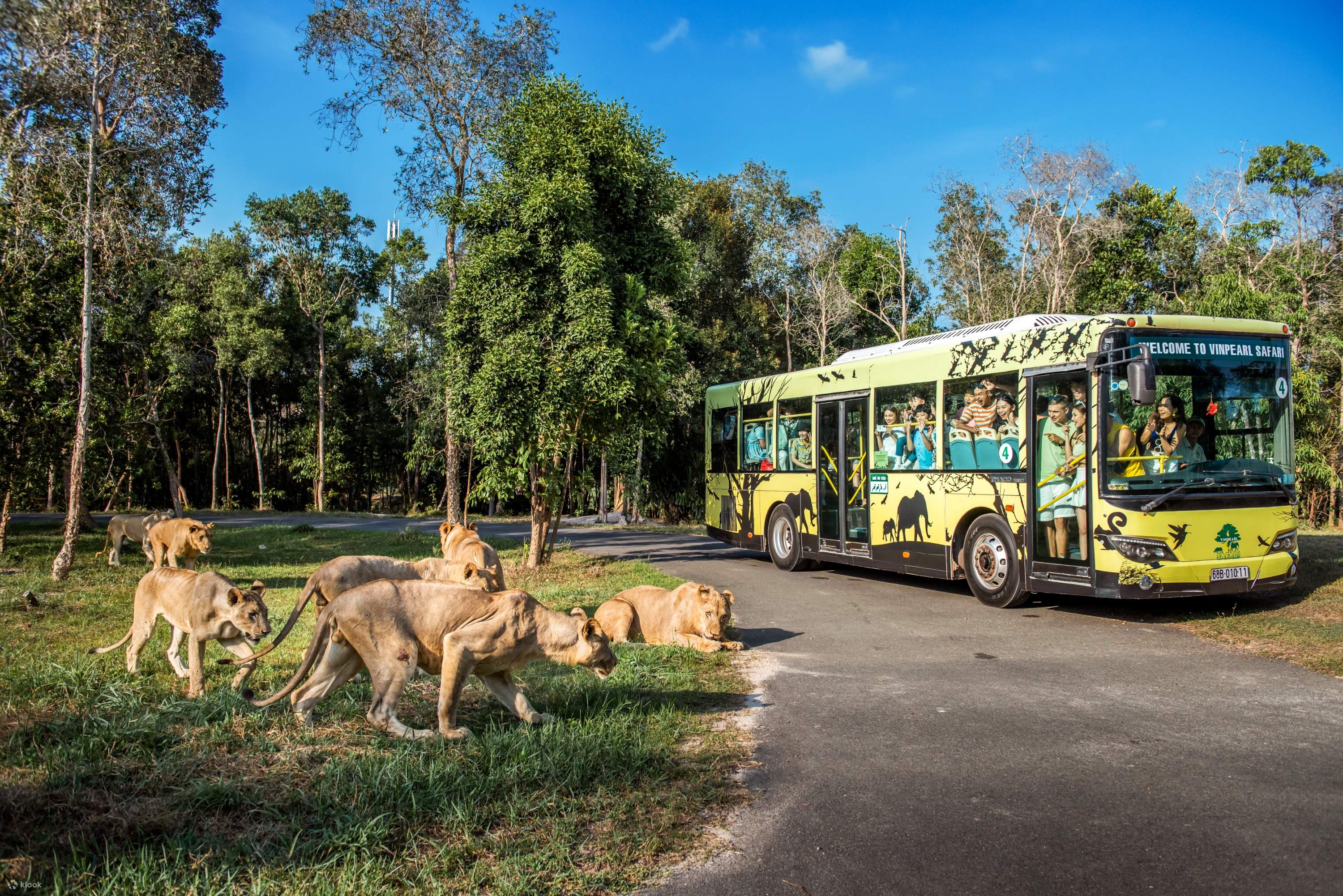 Vinpearl Safari Phú Quốc: Chơi Gì, Ăn Gì, Khám Phá Từ A-Z