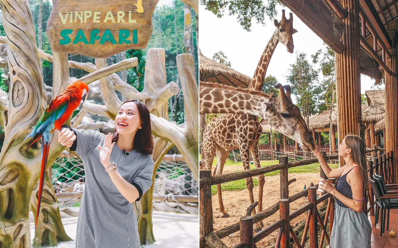 Vinpearl Safari Phú Quốc: Chơi Gì, Ăn Gì, Khám Phá Từ A-Z