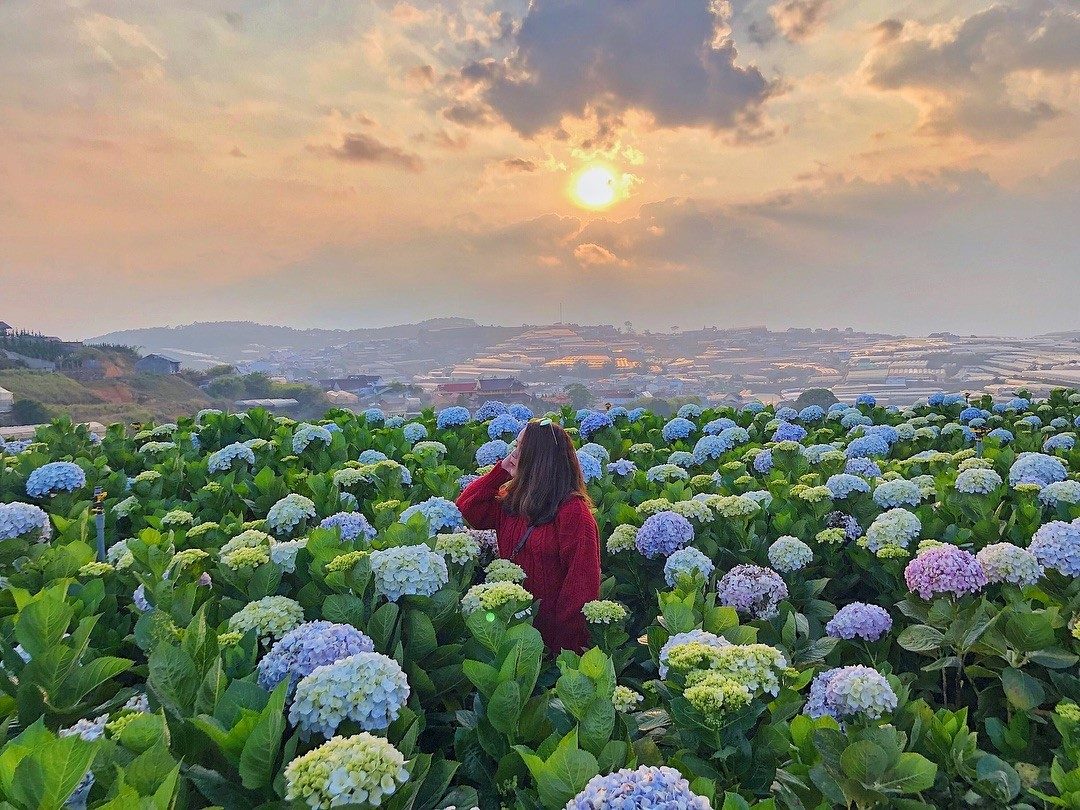 Đà Lạt Tháng 7 Có Lạnh Không 6