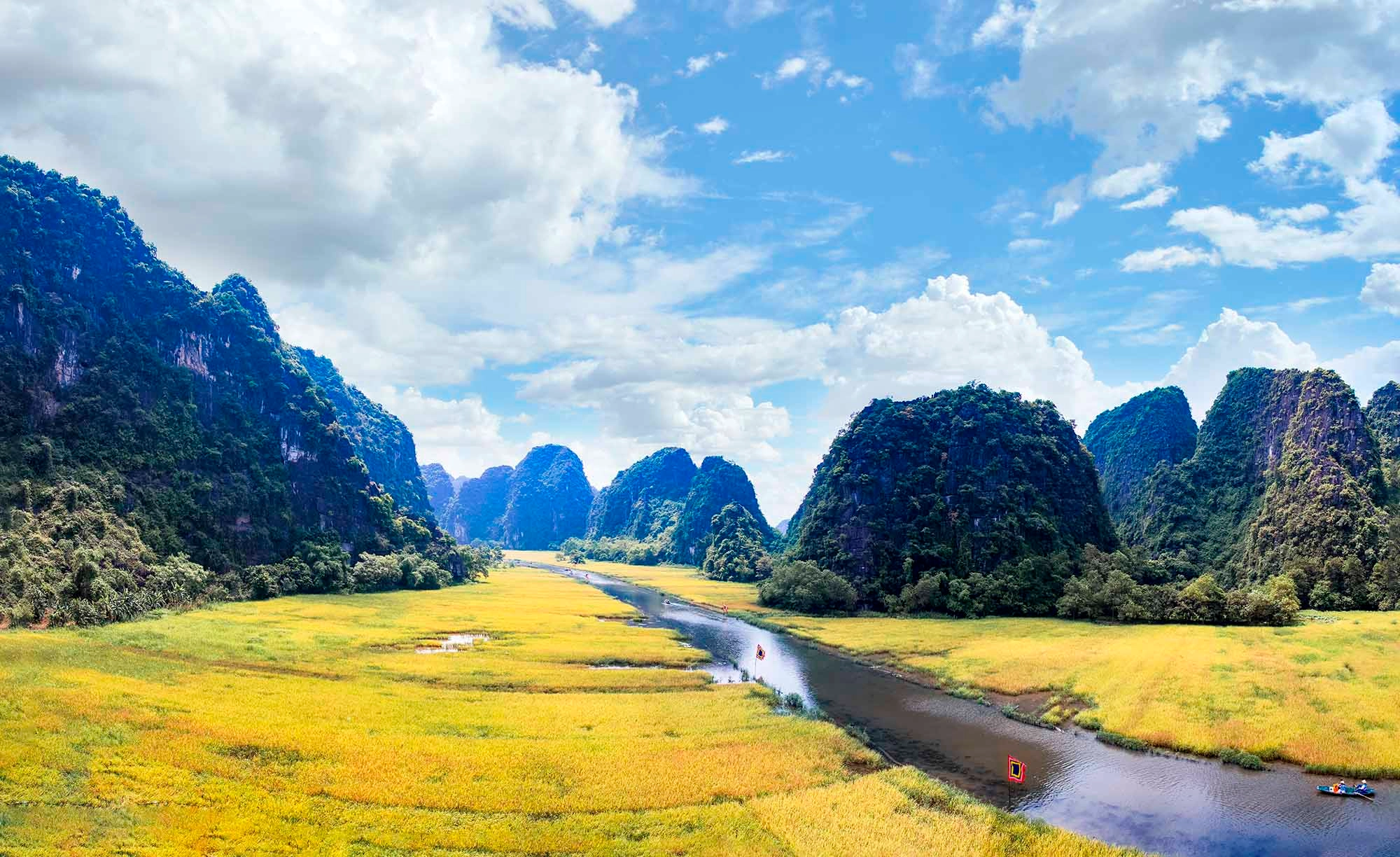 Cánh đồng lúa Tam Cốc mùa chín – nên đi Ninh Bình tháng mấy