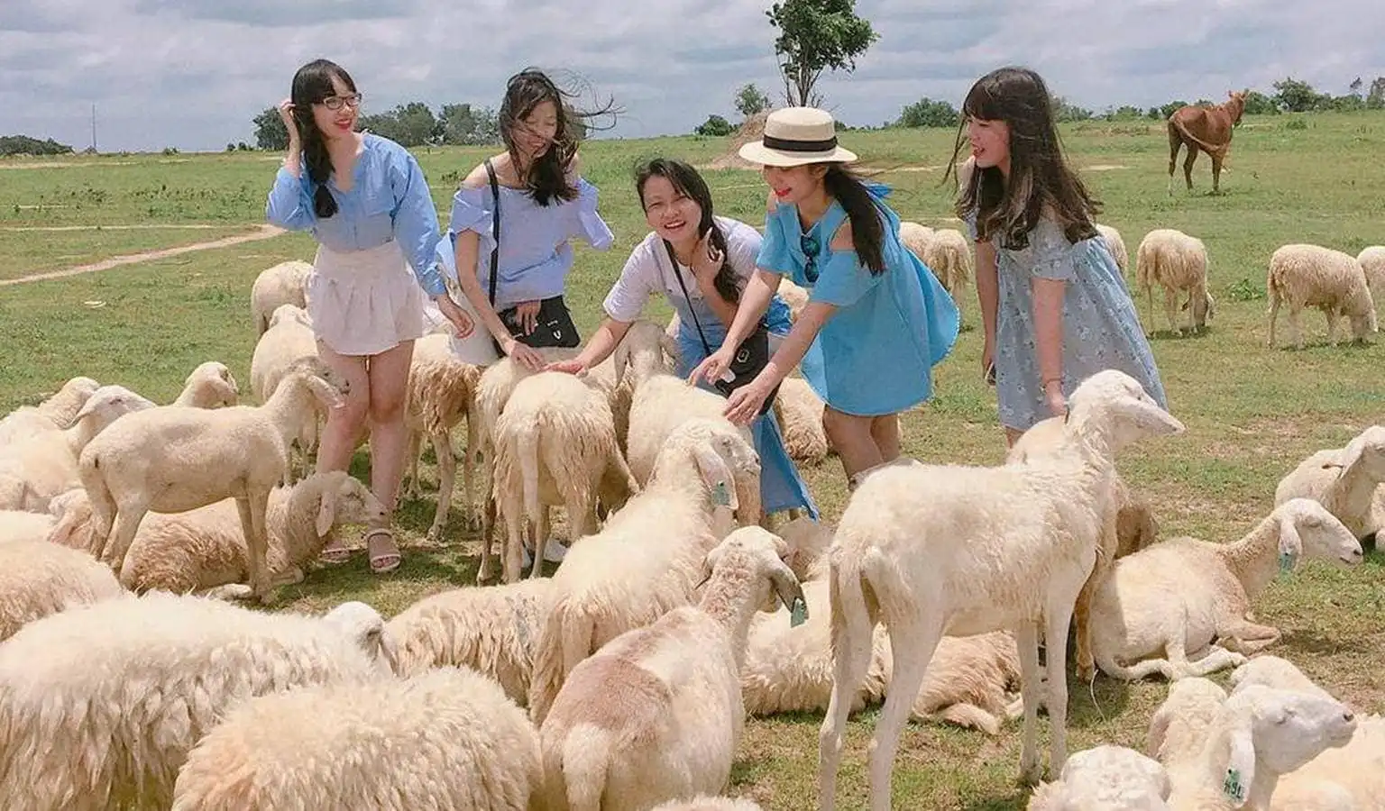 Suối nước nóng Minera Bình Châu 34