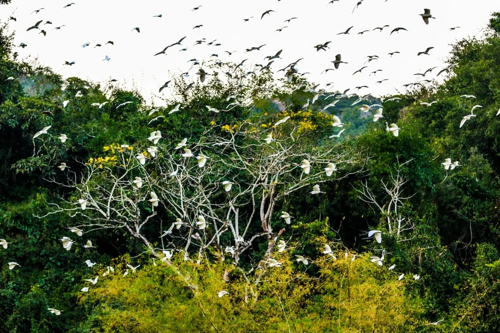 ninh-binh-di-dau-dep (10)