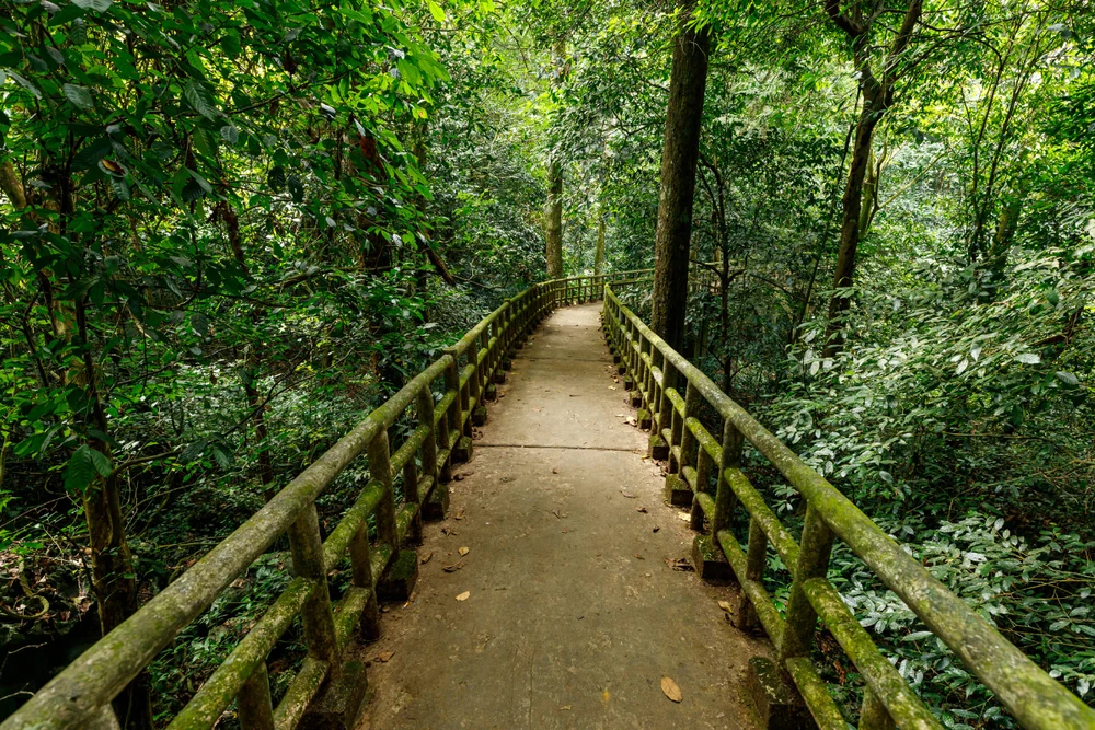 ninh-binh-di-dau-dep (16)